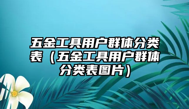 五金工具用戶(hù)群體分類(lèi)表（五金工具用戶(hù)群體分類(lèi)表圖片）